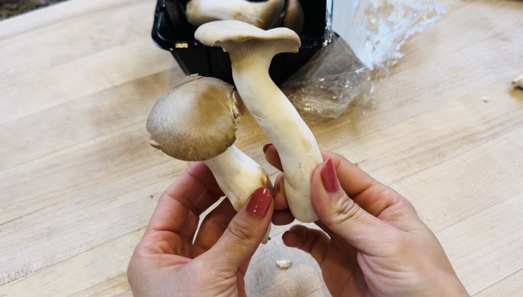 trumpet mushroom