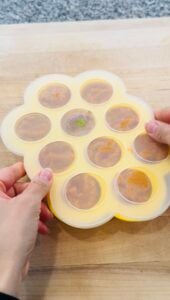 Baby Food Freezer Cubes: Easy Steamed Veggies for 6 Months & Up