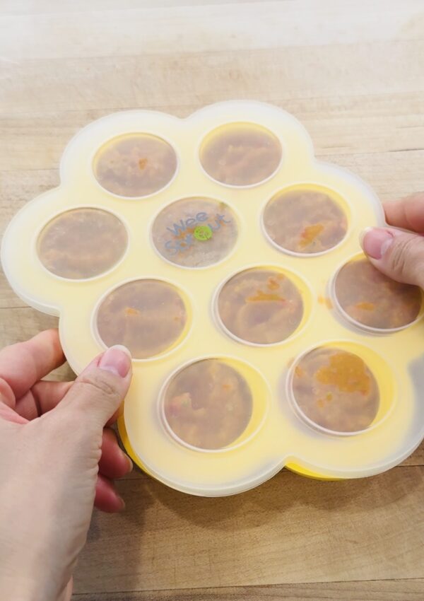Baby Food Freezer Cubes: Easy Steamed Veggies for 6 Months & Up